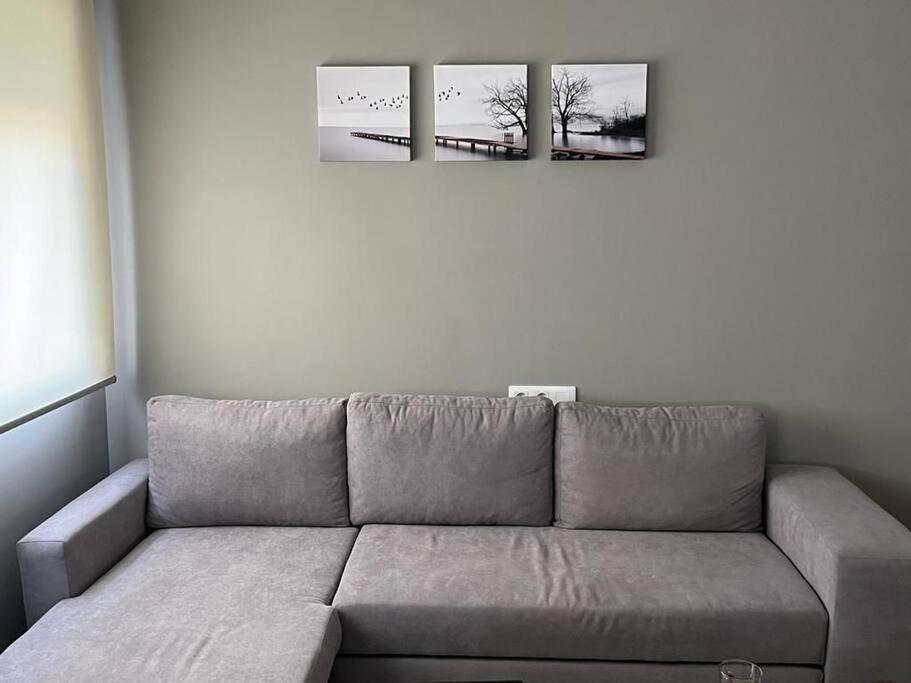 Apartamentos Camino A Ribeira Quiroga Exteriér fotografie